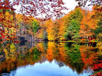 Yedigöller Turu - Ankara Çıkışlı
