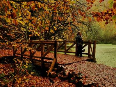 Yedigöller Turu - Ankara Çıkışlı