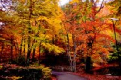 Yedigöller Turu - Ankara Çıkışlı