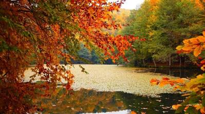 Yedigöller Turu - Ankara Çıkışlı